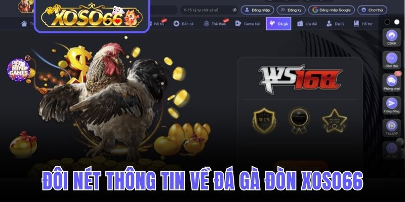 Đôi nét thông tin về đá gà đòn Xoso66
