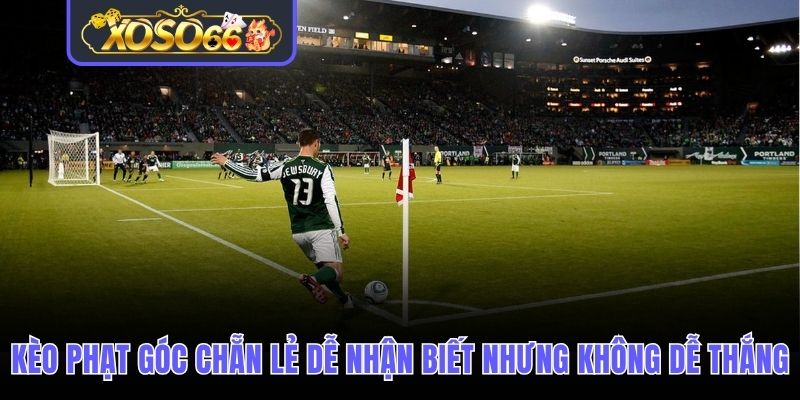 Kèo phạt góc chẵn lẻ dễ nhận biết nhưng không dễ thắng