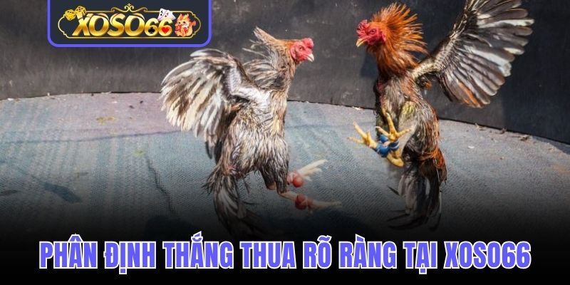 Luật phân định thắng thua rõ ràng tại Xoso66 
