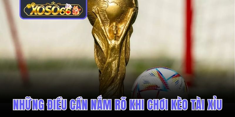 Những điều cần nắm rõ khi chơi kèo tài xỉu